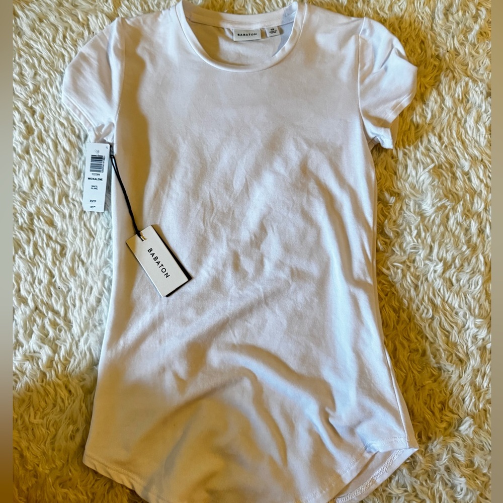 Aritzia babaton tee